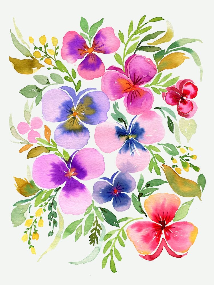 Floral Pansies