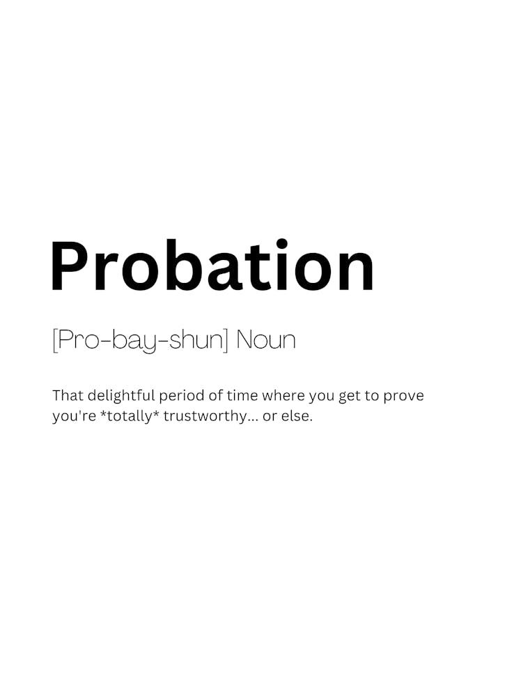 Probation Definition Meaning 1