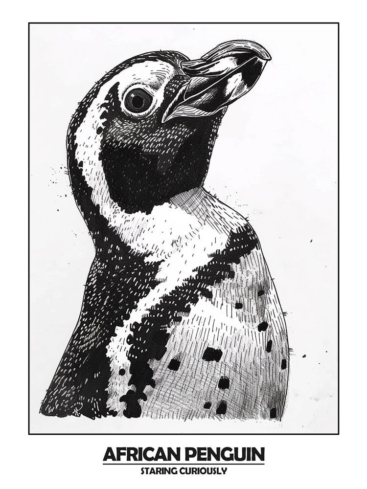 Penguin Staring Curiously Poster 1