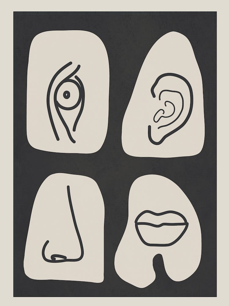 Senses 1
