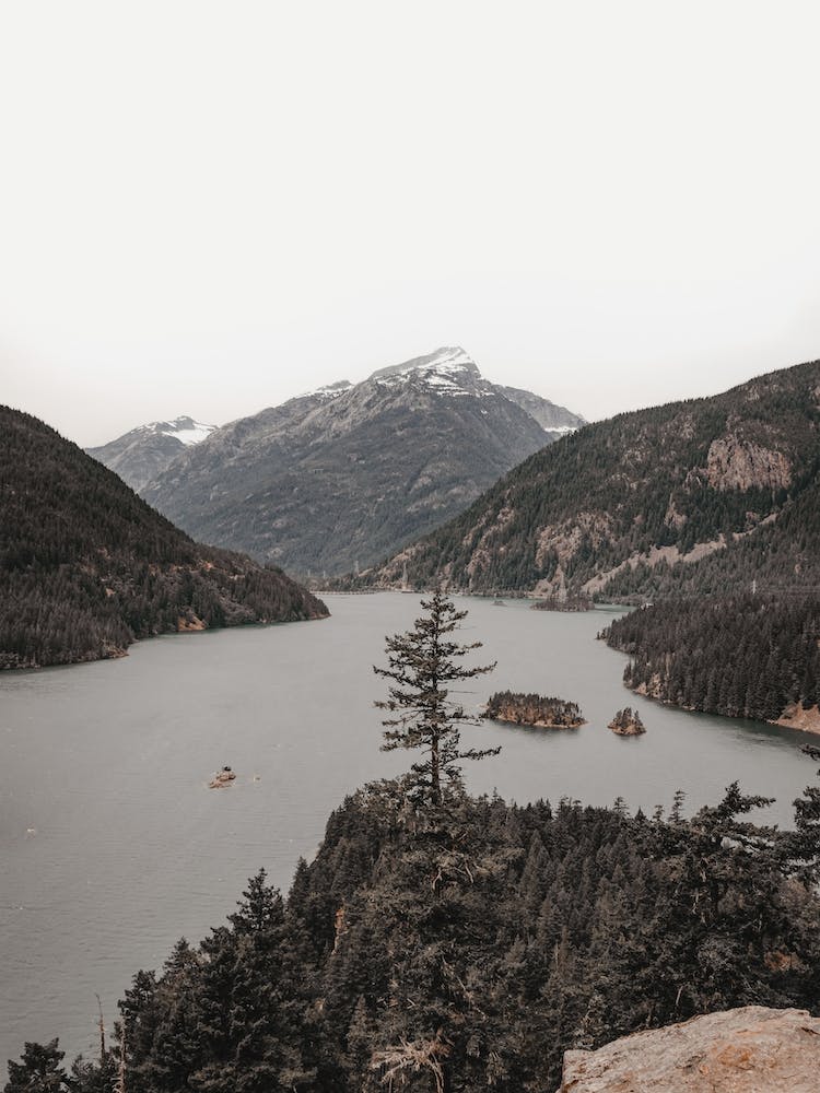 Rustic Lake Views