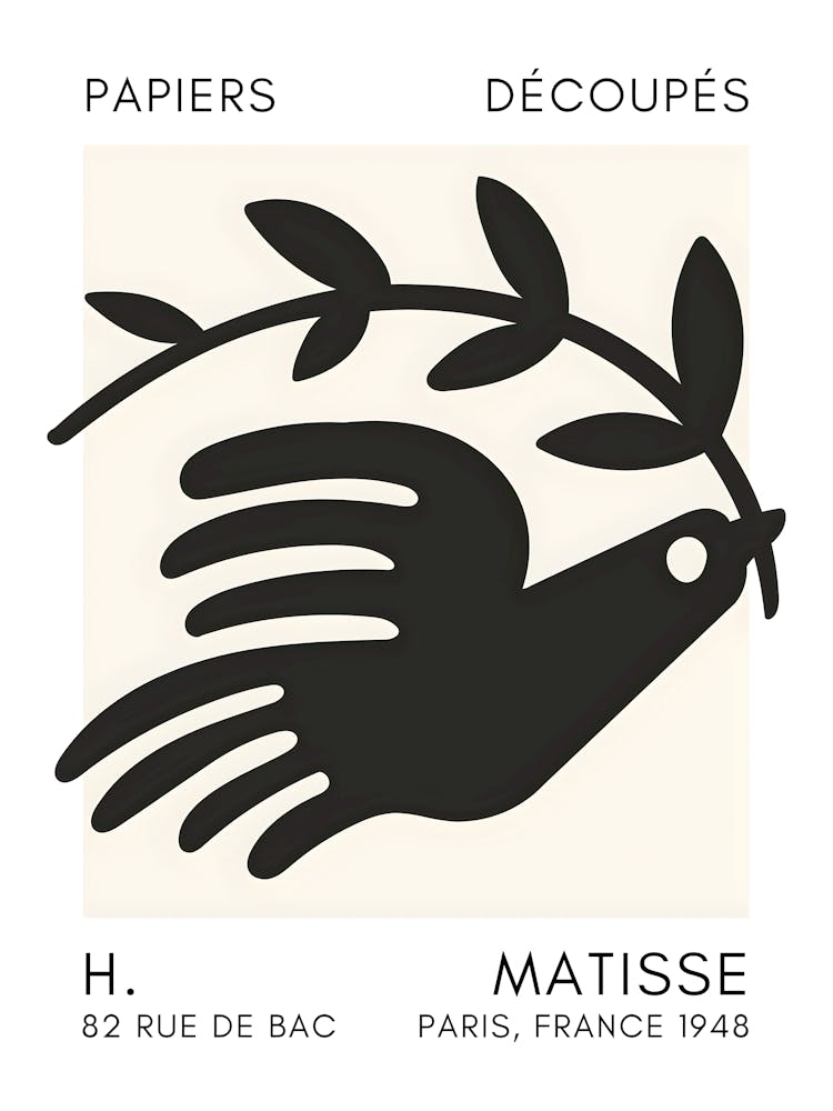 Dove By Matisse 2