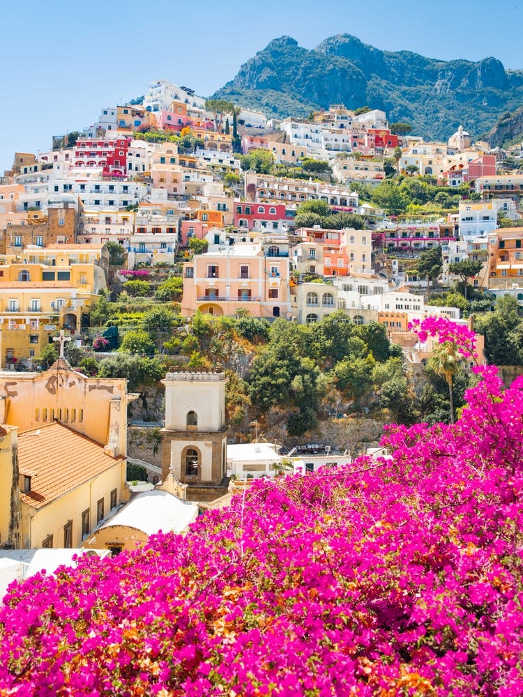 Pink Flowers In Positano