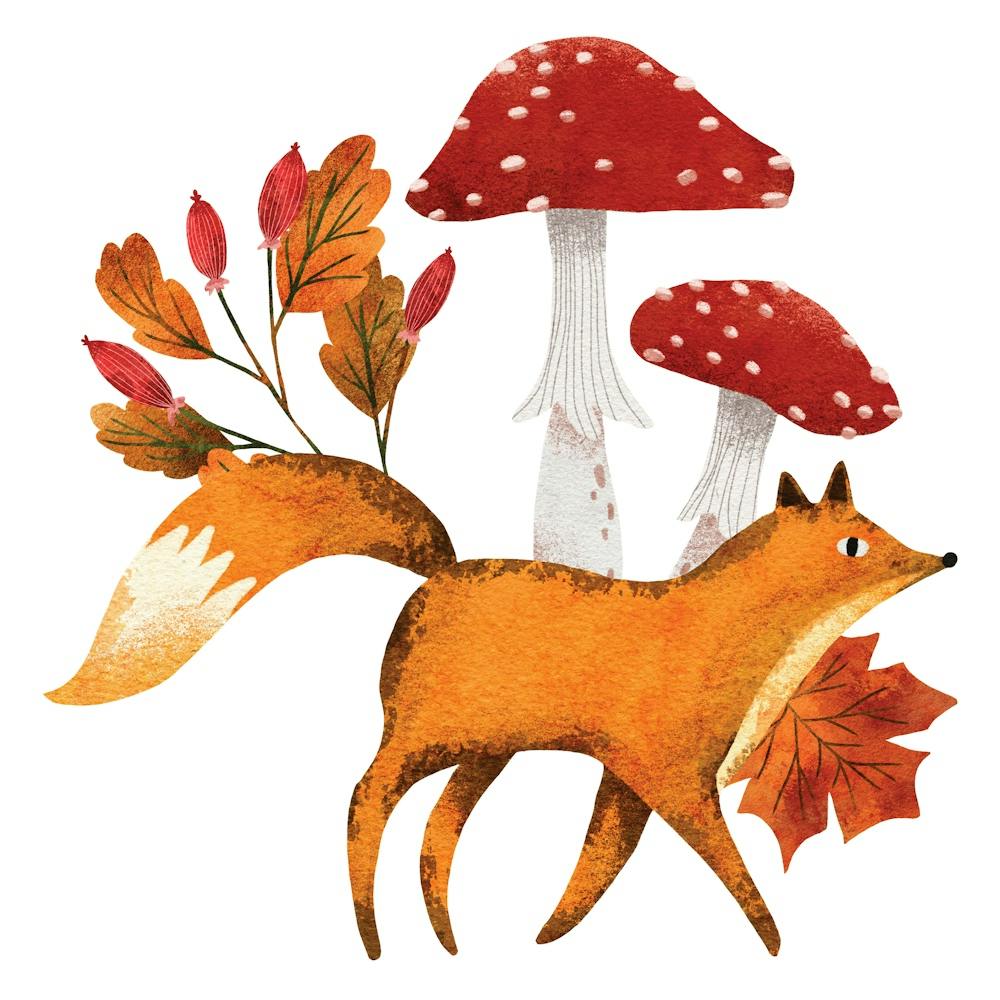 Walking Fox And Mushrooms