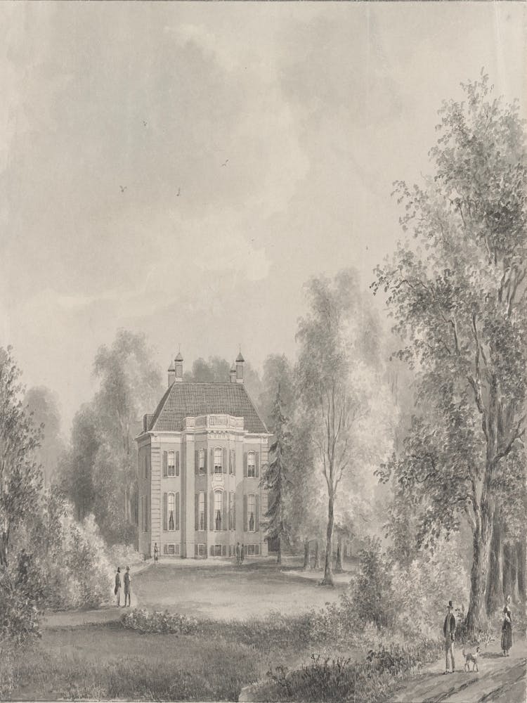 House In The Woods 7