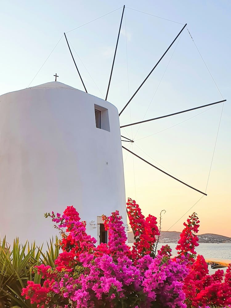 Moulin Grec à Paros 1
