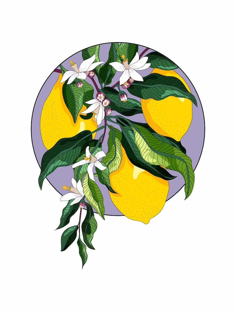 Circular Mofit Lemon Blossom Flowers