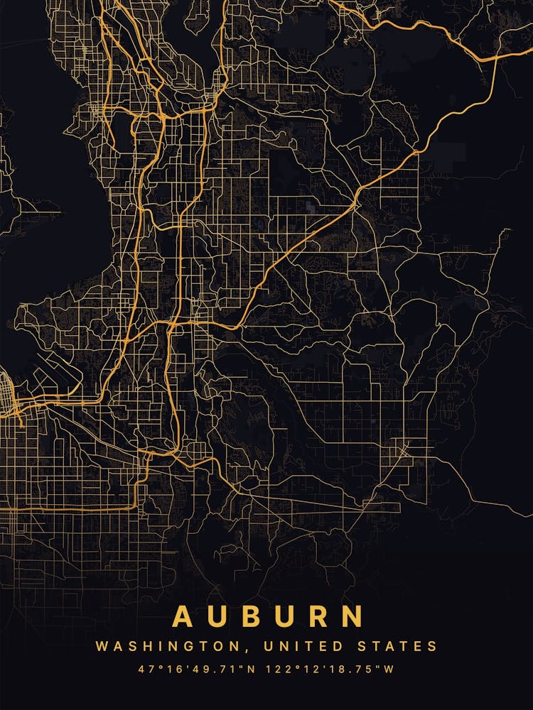 Auburn Alabama USA Black And Gold Map