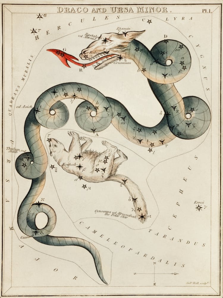 Draco And The Ursa Minor, Sidney Hall