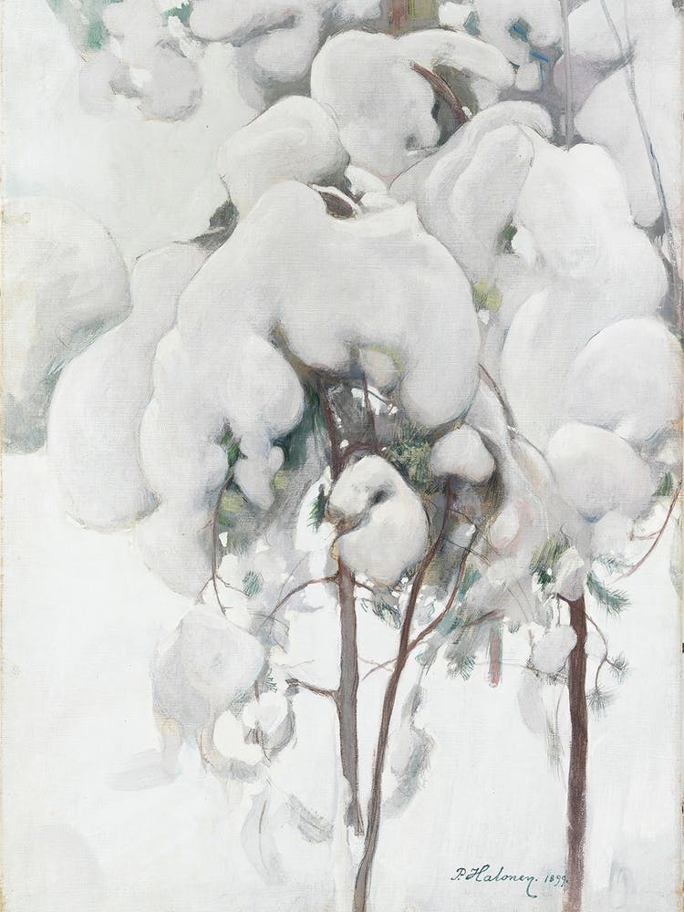 'Snow Covered Trees'
