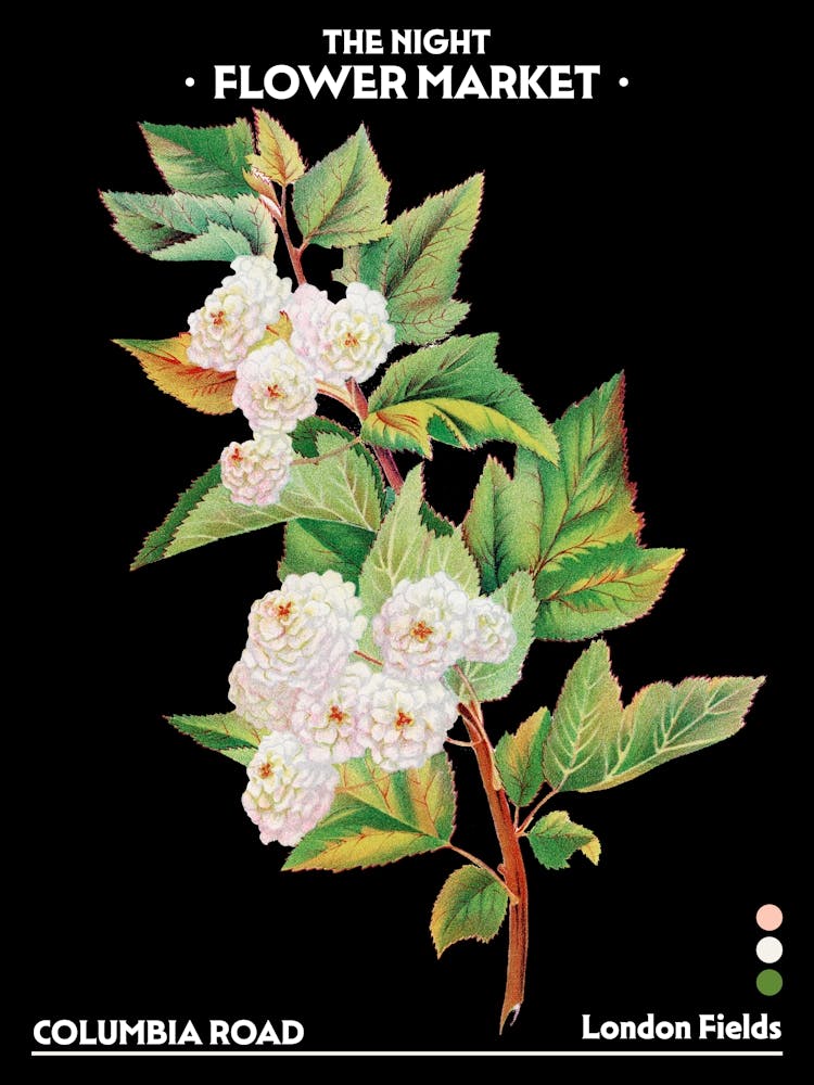 Flower Market Night Columbia Road London Fields Vintage Botanical