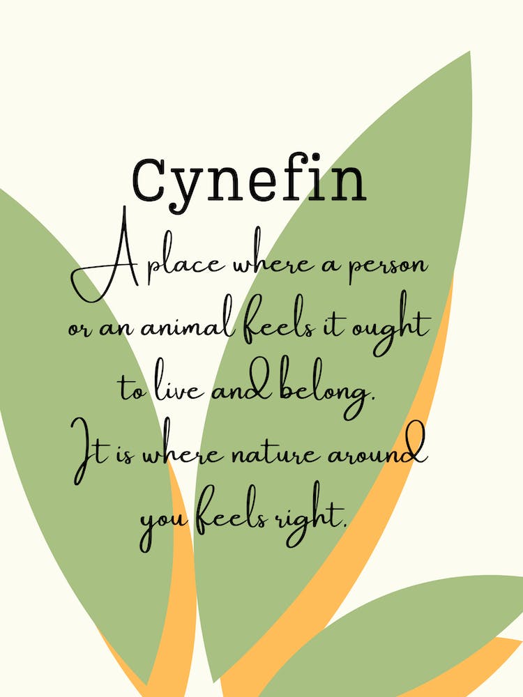 Cynefin