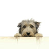 Dog Watercolor Art Prints