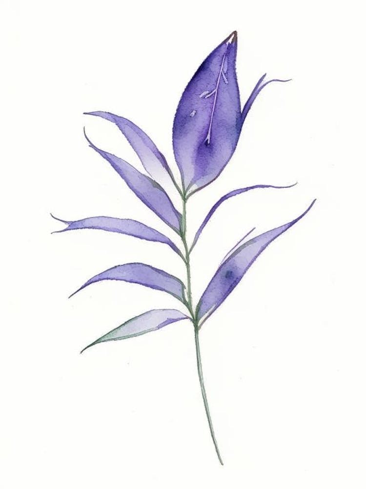 Spiderwort Leaf Minimalist Watercolour 2