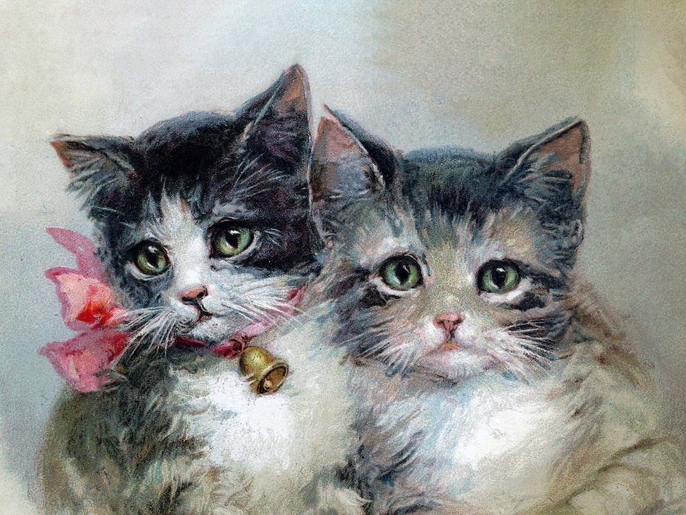 Vintage Kittens