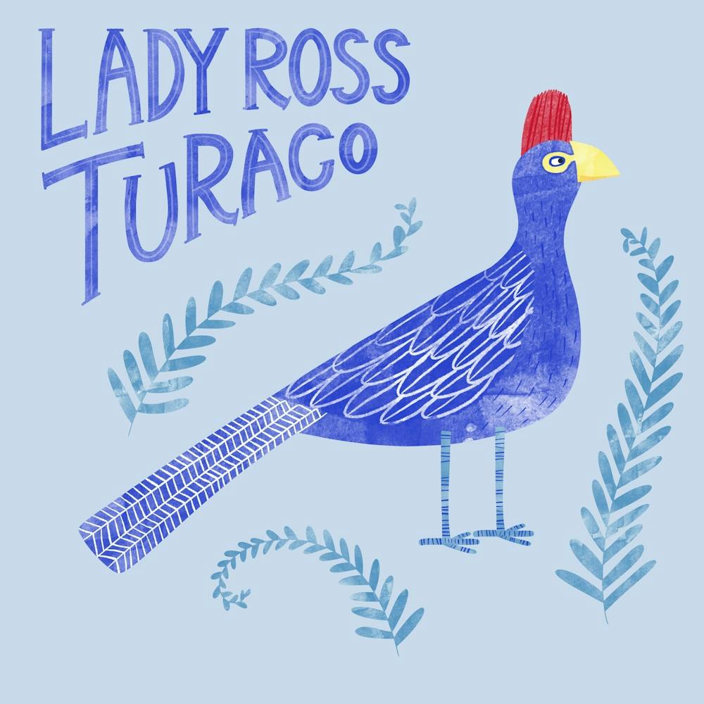 Lady Ross Turaco Bird
