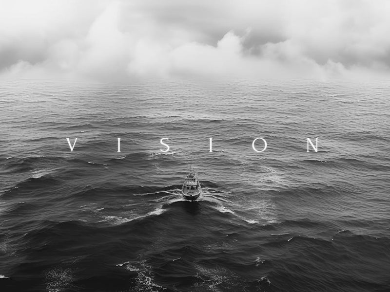 Vision