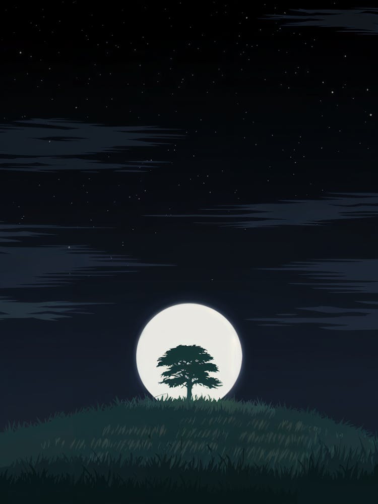 Full Moon In The Sky