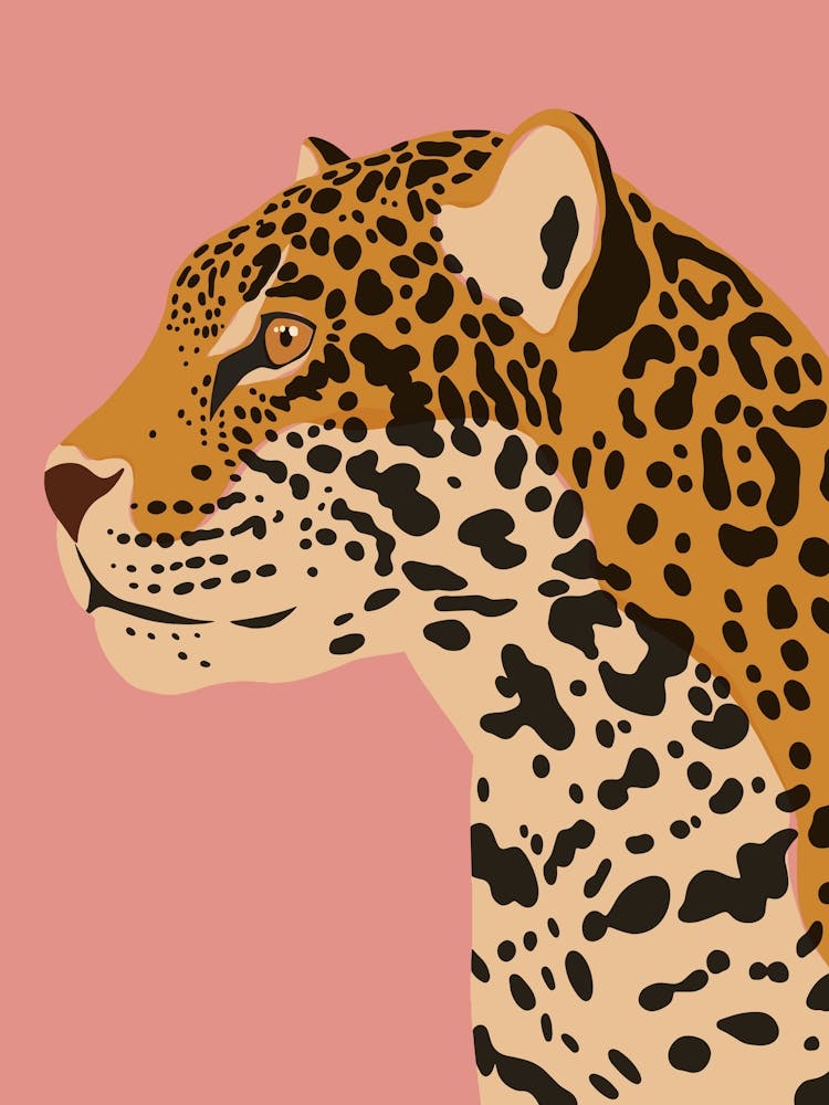 Jungle Safari Jaguar on Pink