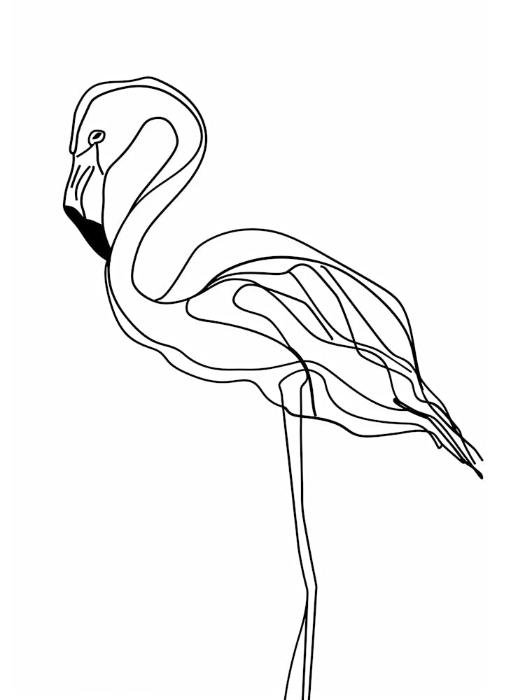 Flamingo animal lines art