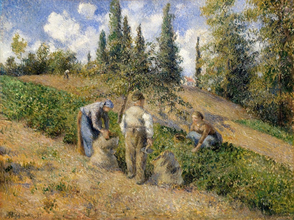 The Harvest, Pontoise (1881), Camille Pissarro