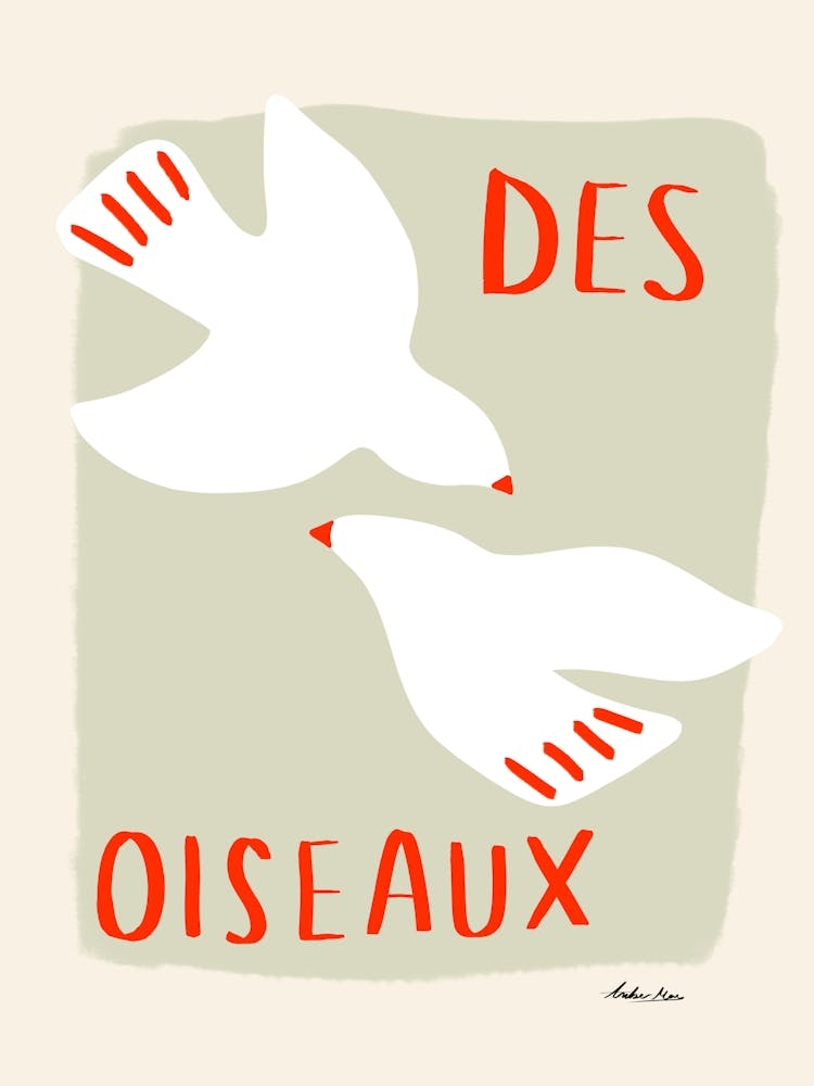 Des Oiseaux Birds Orange