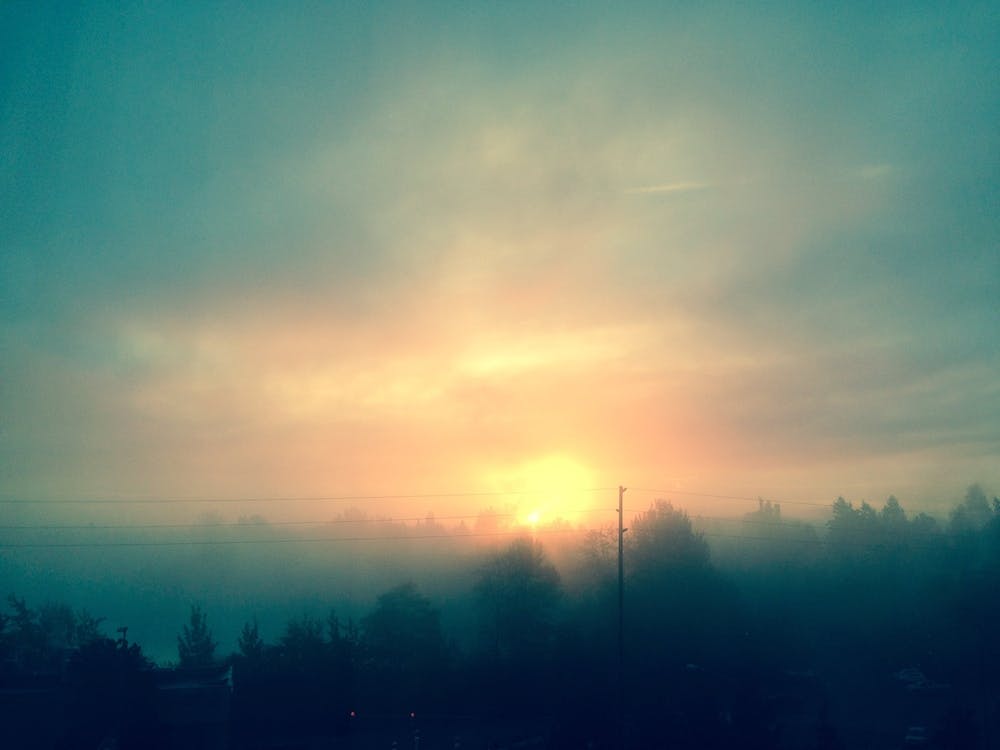 Seattle 4