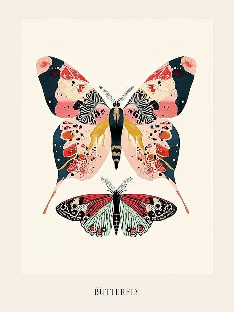 Colourful Insect Illustration Butterfly 26 Poster