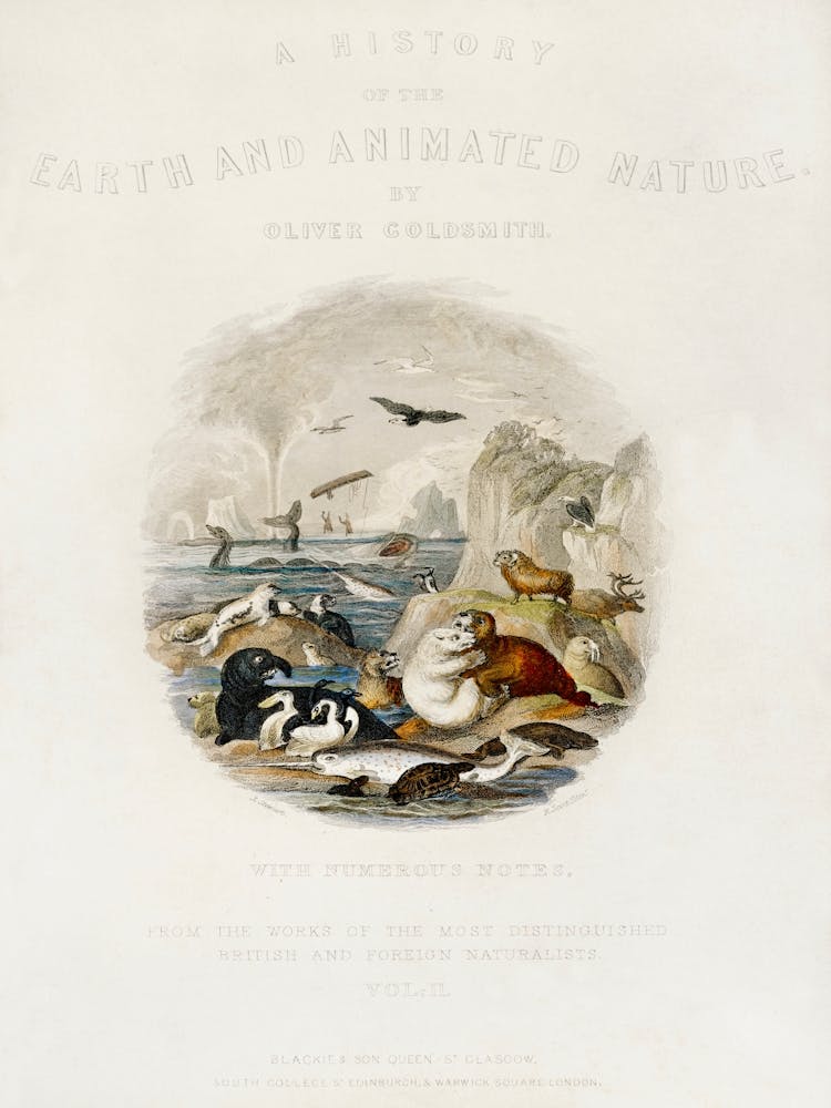 Hand Drawn Of Animals, Oliver Goldsmith