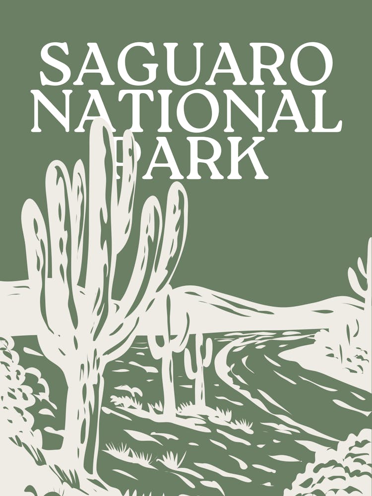 Saguaro National Park | Arizona Desert Travel Landscape Scenery 1