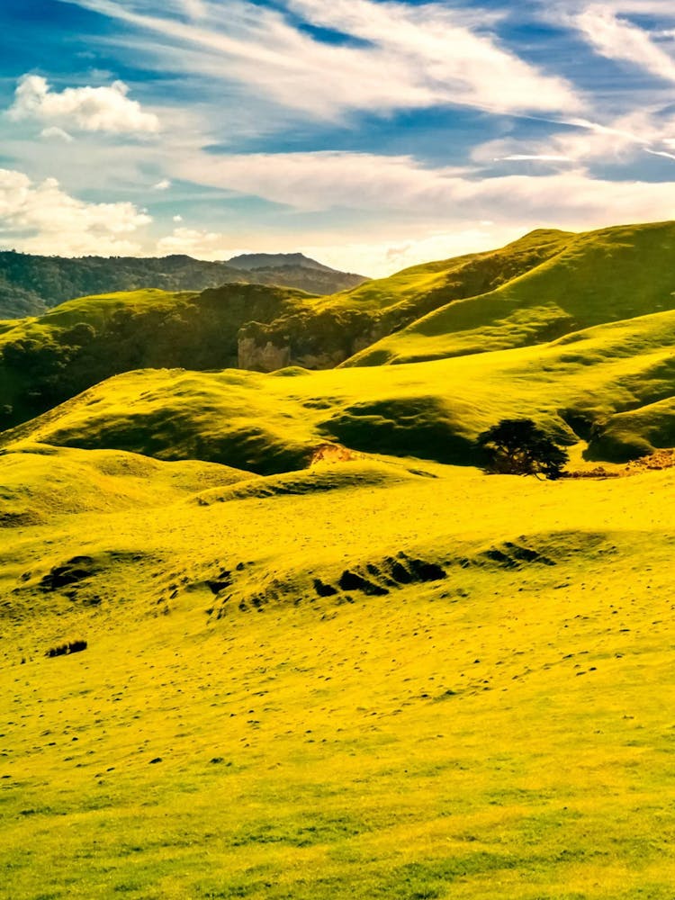 Green Hills - Grass Stock Videos & Royalty-Free Footage