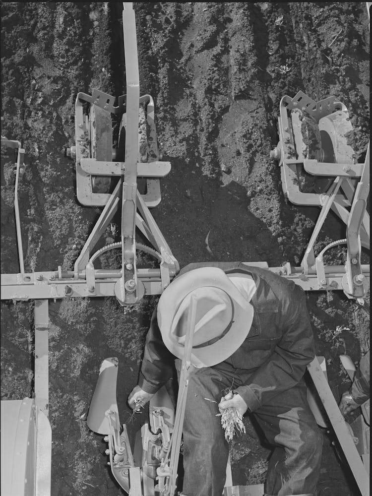 Untitled Photo, Possibly Related To Salinas, California, Intercontinental Rubber Producers