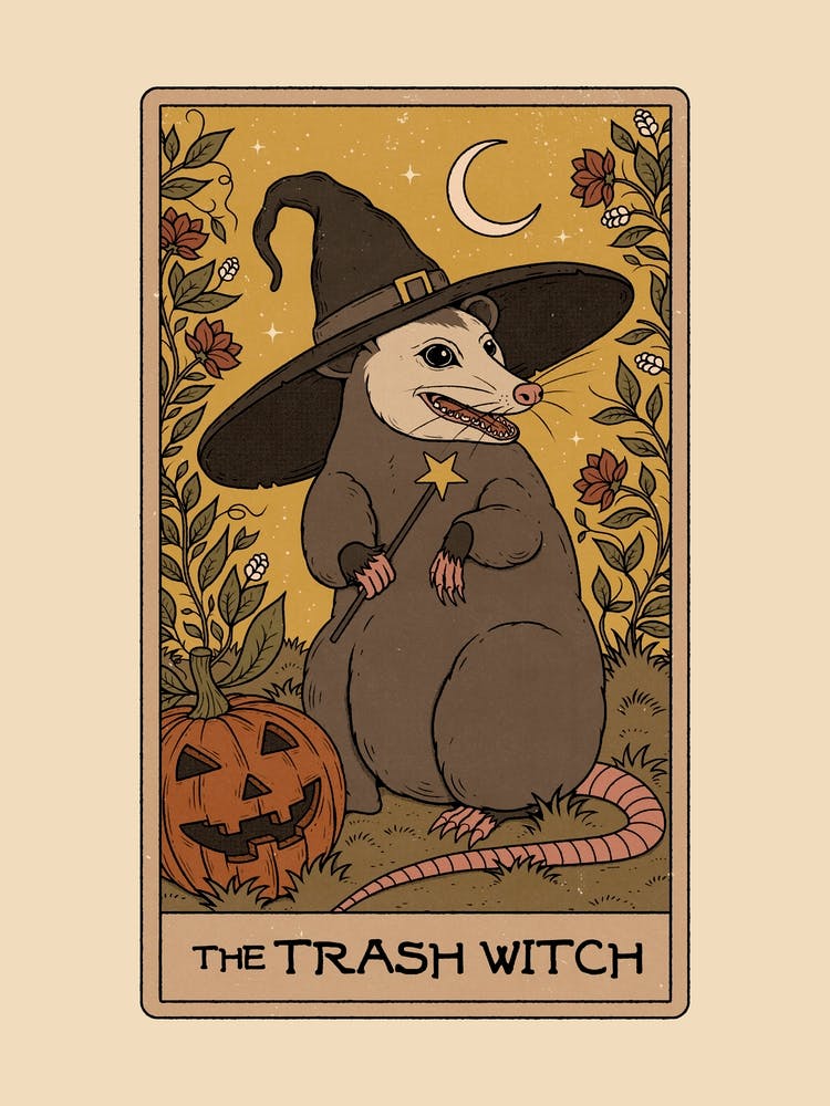 The Trash Witch - Possum Tarot