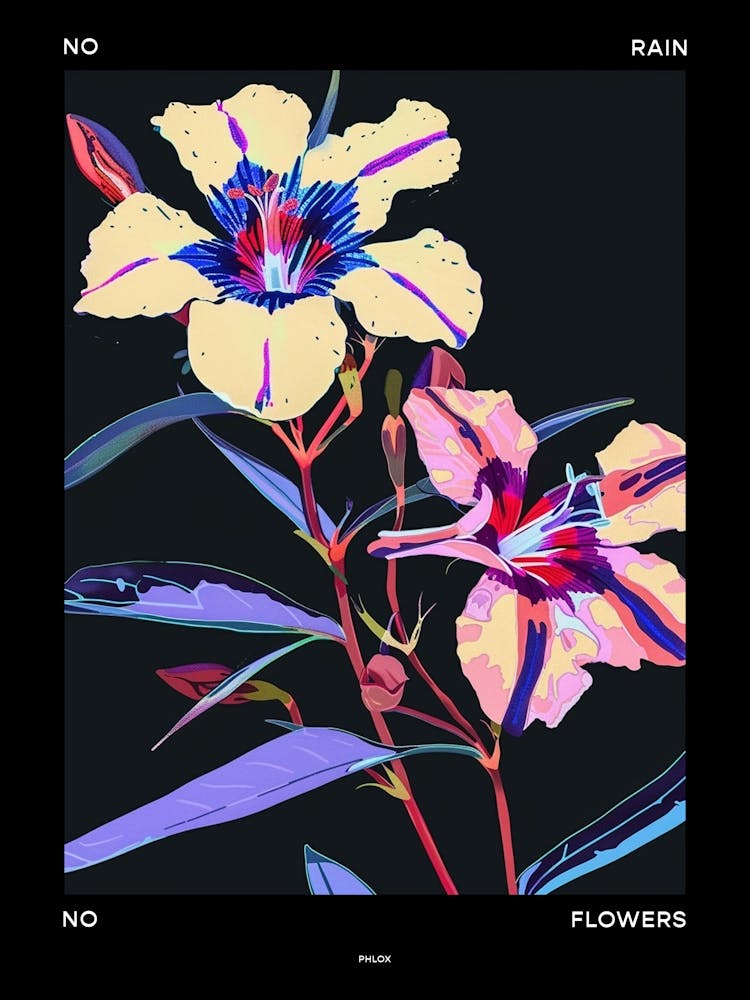 No Rain No Flowers Poster Phlox 1