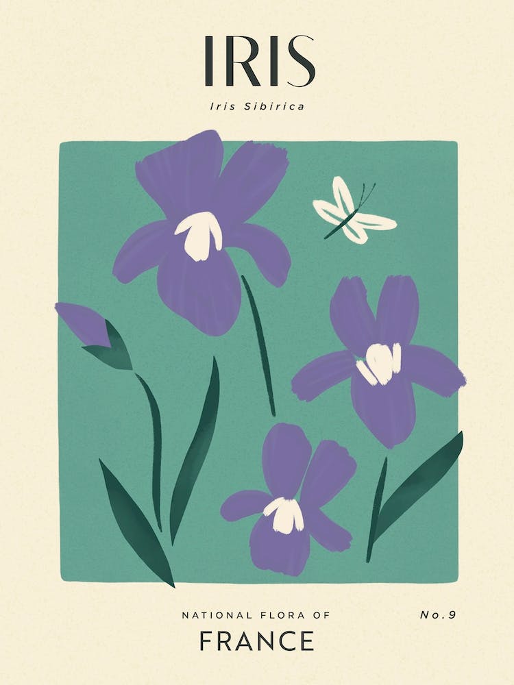 Vintage Green And Purple Iris Flower Of France