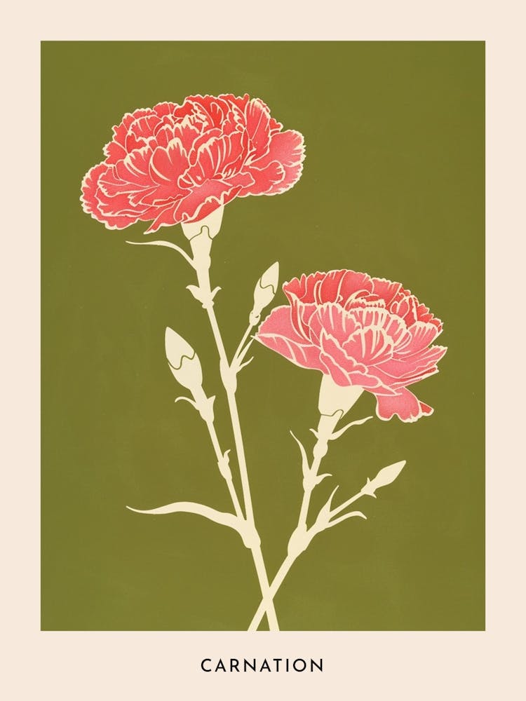 Pink & Green Carnation 2 Flower Poster