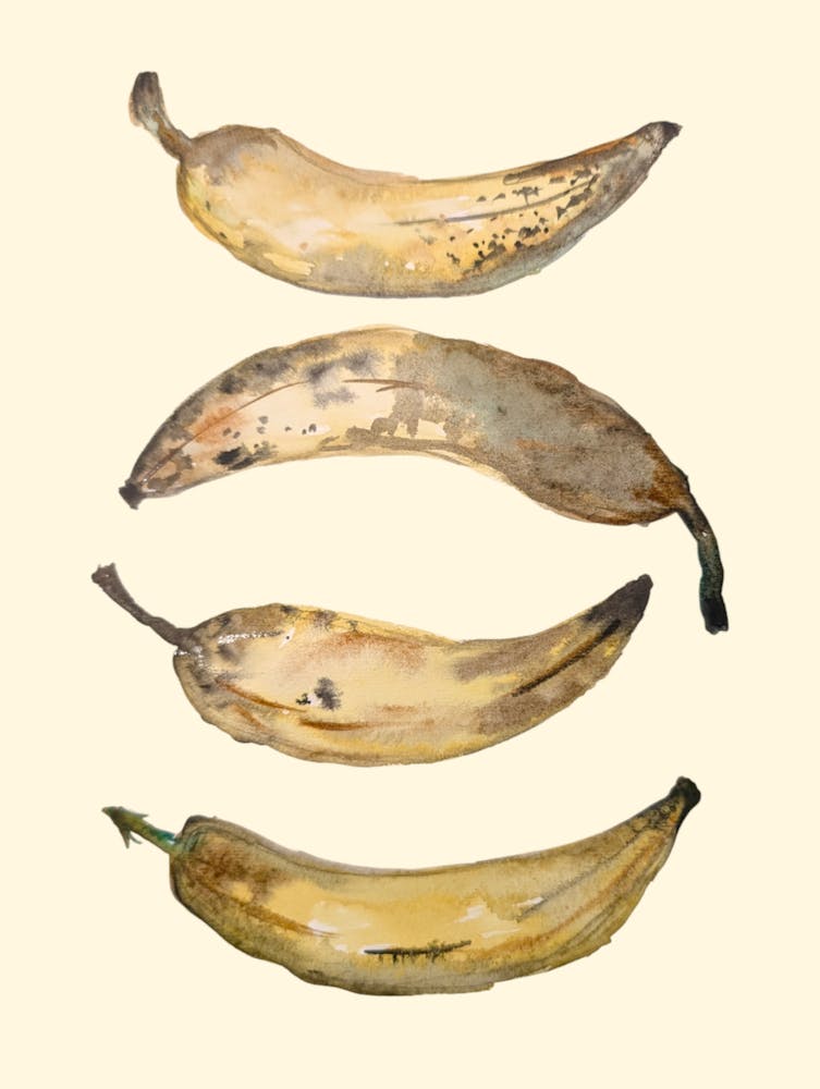 Bananas Kitchen Watercolour Illustration