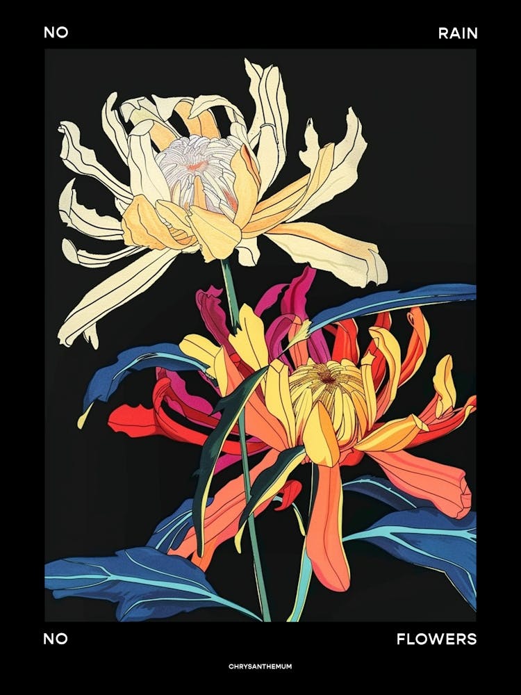 No Rain No Flowers Poster Chrysanthemum 4