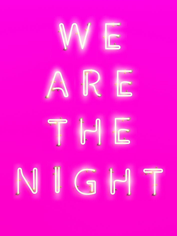 We Are The Night