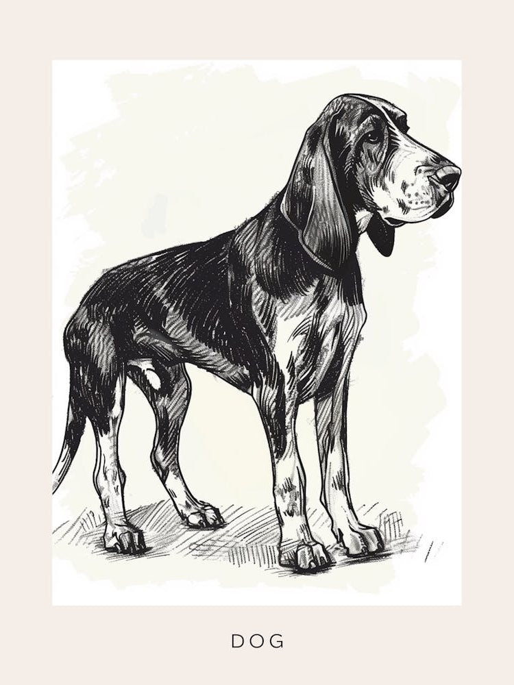 Black And Tan Line Sketch 1 Poster