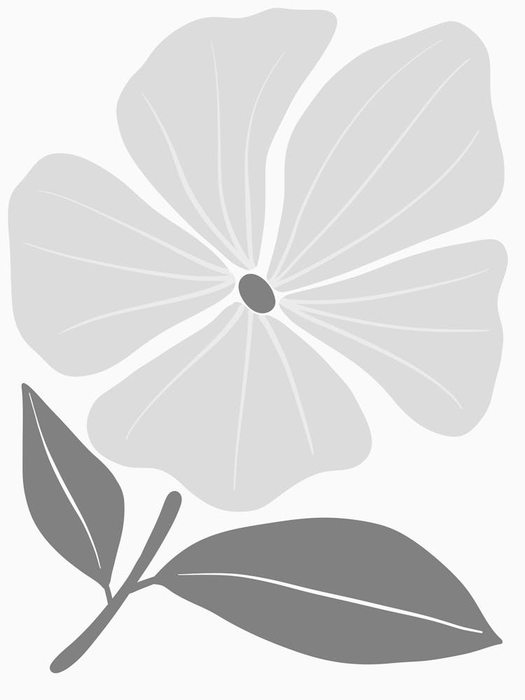 White Flower 2