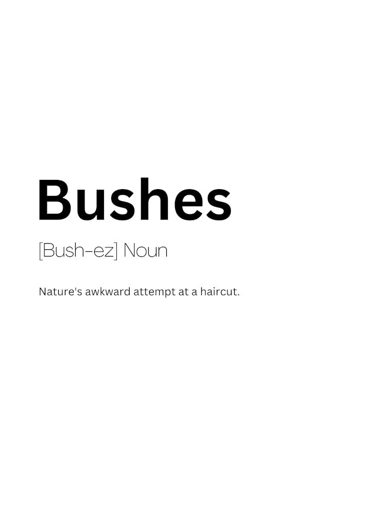 Bushes Definition Meaning