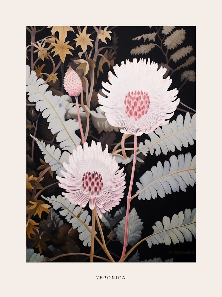 Flower Illustration Veronica 1 Poster