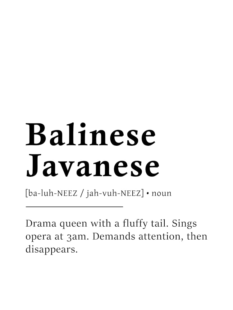 Balinese-Javanese Definition Poster - Dictionary
