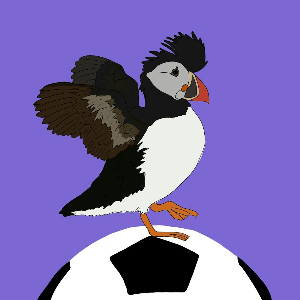 Puffin on the ball