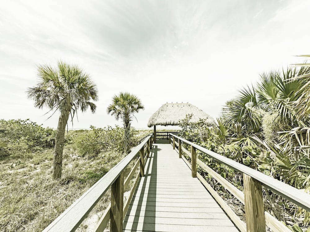 Bridge To The Beach