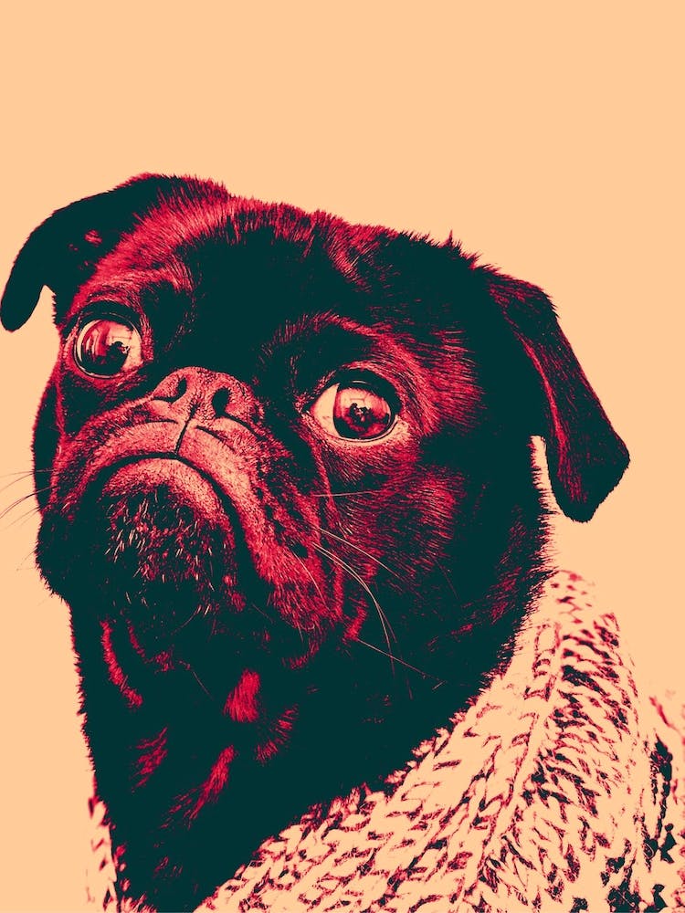 Hope Style Gog Animals