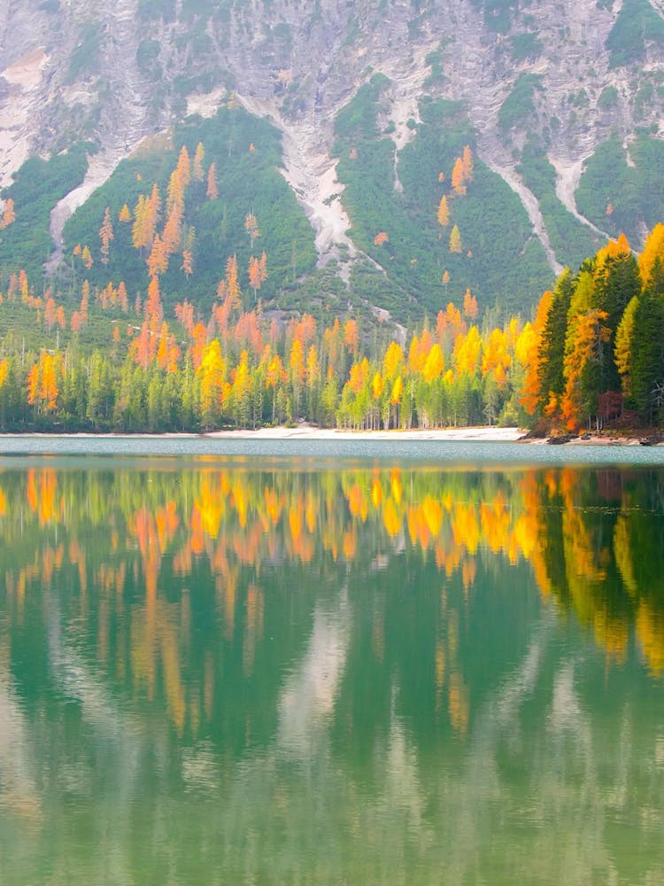 Autumn Trees Reflected In A Lake