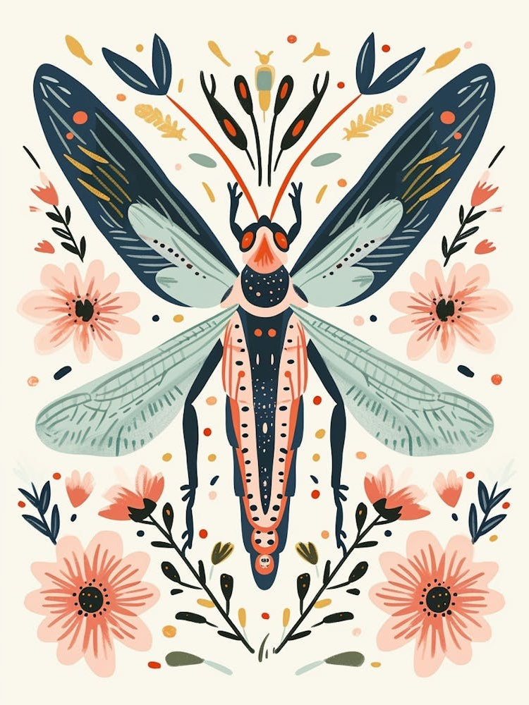 Colourful Insect Illustration Grasshopper 2