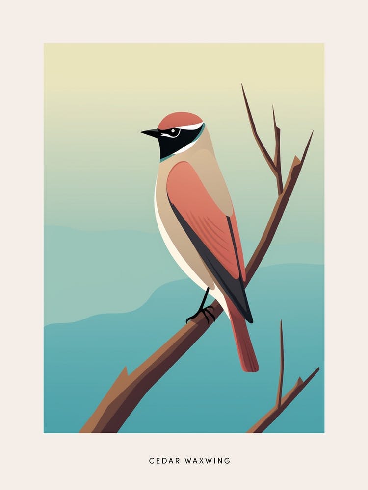 Minimalist Cedar Waxwing 2 Bird Poster